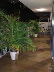 The Luxurie (D19), Condominium #128593452